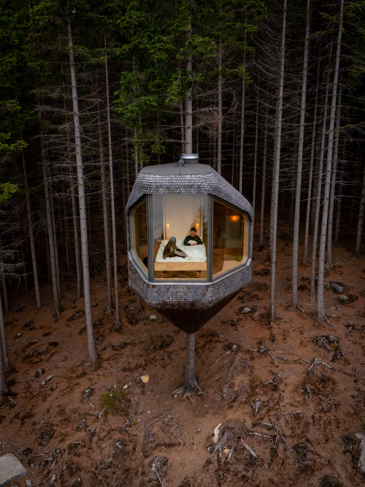 Woodnest