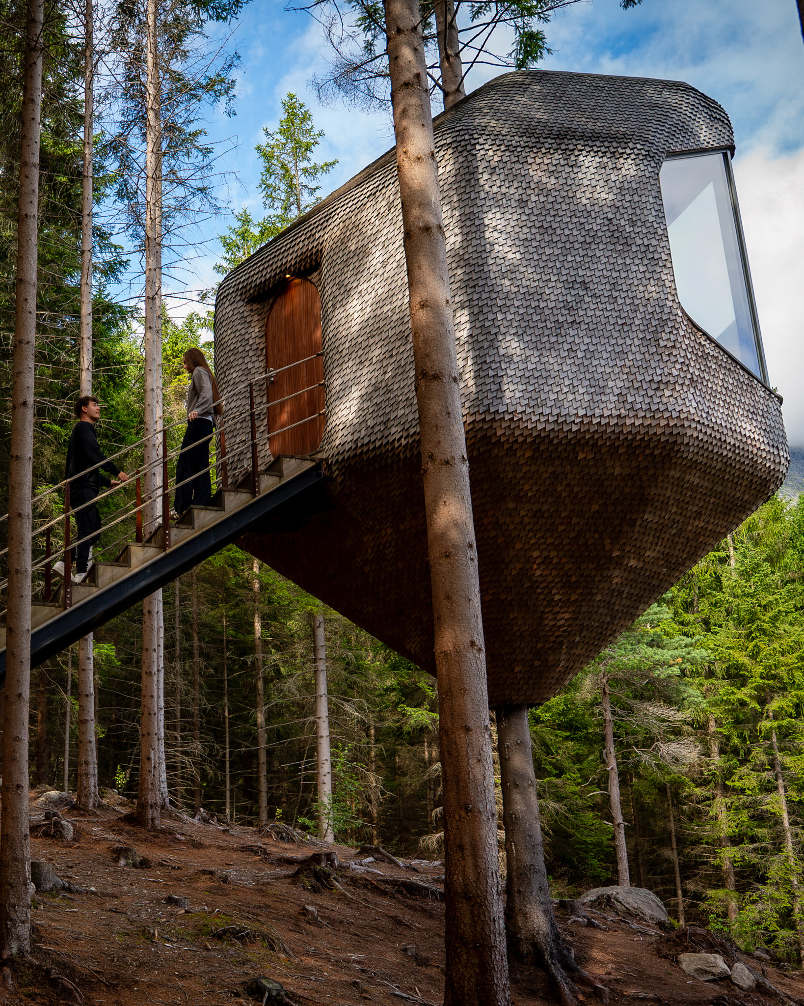 Woodnest